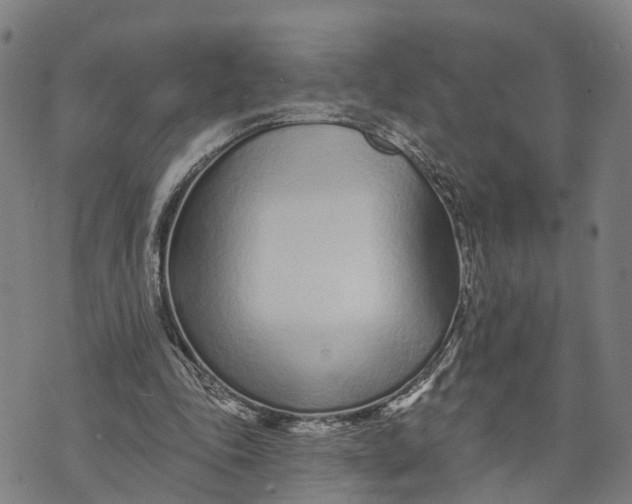 X0000073760343200608241417