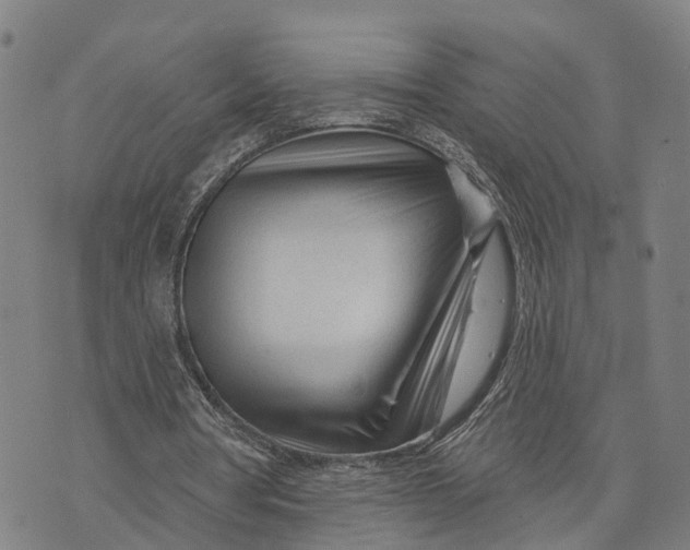 X0000073760386200608241417