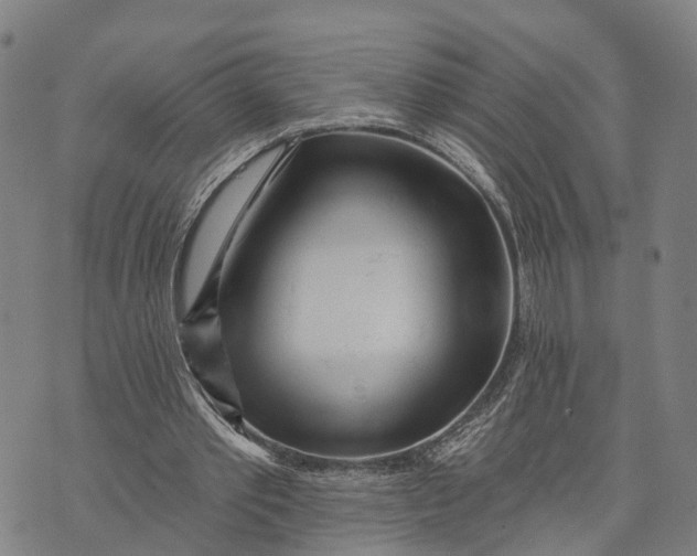 X0000073760389200608241417