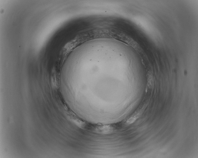X0000073760431200608241416