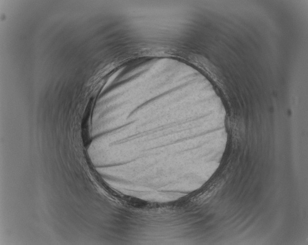X0000073760433200608241416