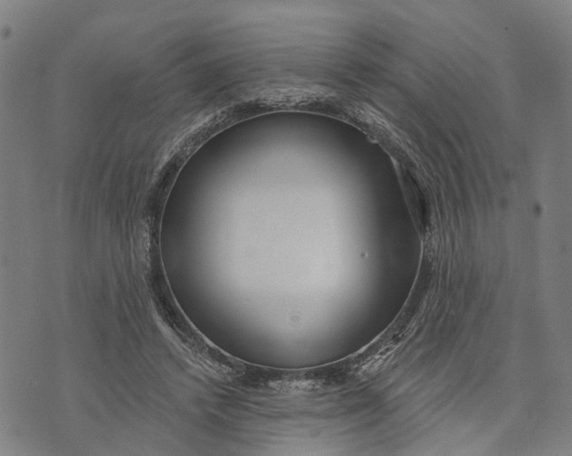 X0000073760448200608241416