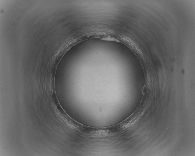 X0000073760449200608241416