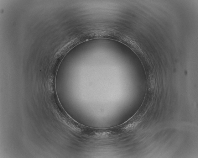 X0000073760450200608241416