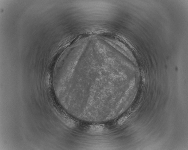X0000073760451200608241416