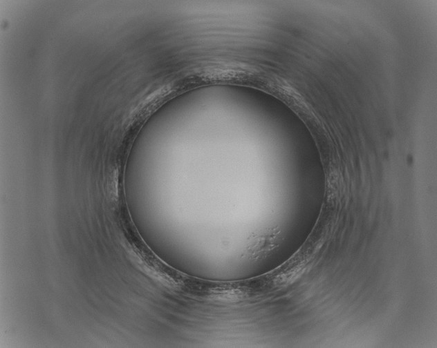 X0000073760454200608241416
