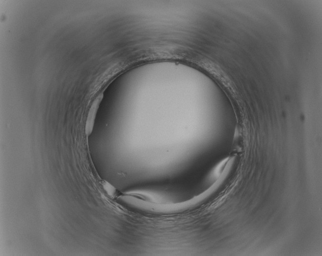 X0000073760481200608241416
