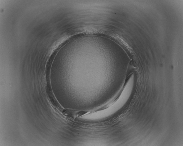X0000073760488200608241416