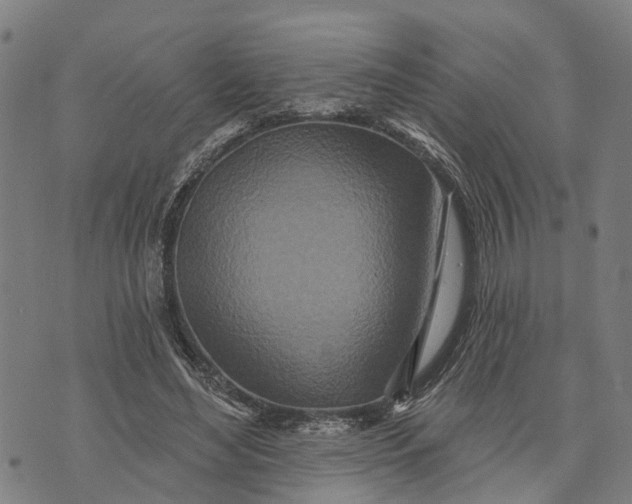 X0000073760492200608241415