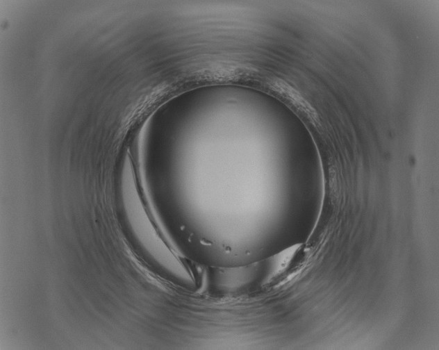 X0000073760493200608241415