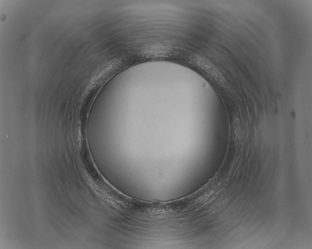 X0000073760494200608241415