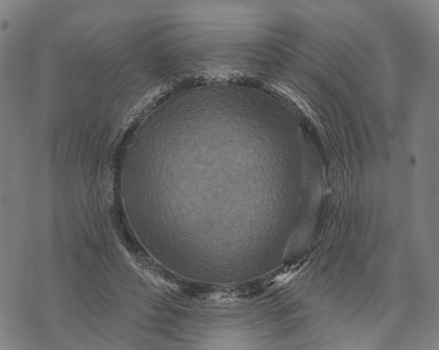 X0000073760496200608241415
