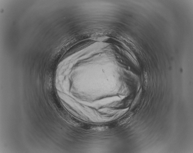 X0000073760499200608241415