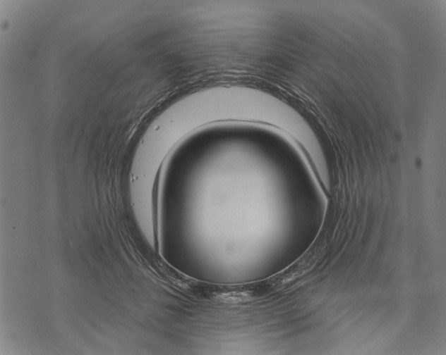 X0000073760508200608241415