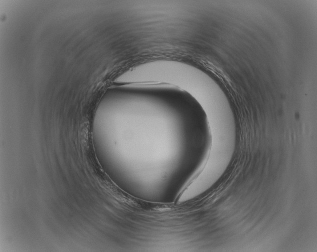 X0000073760509200608241415