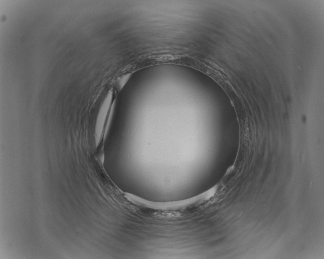 X0000073760512200608241415