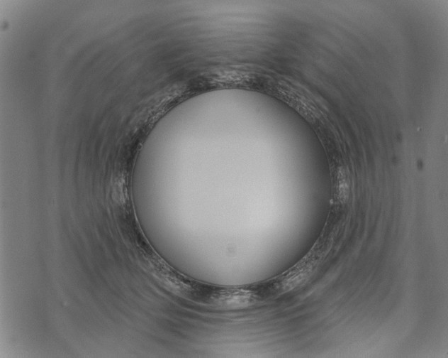 X0000073760514200608241415