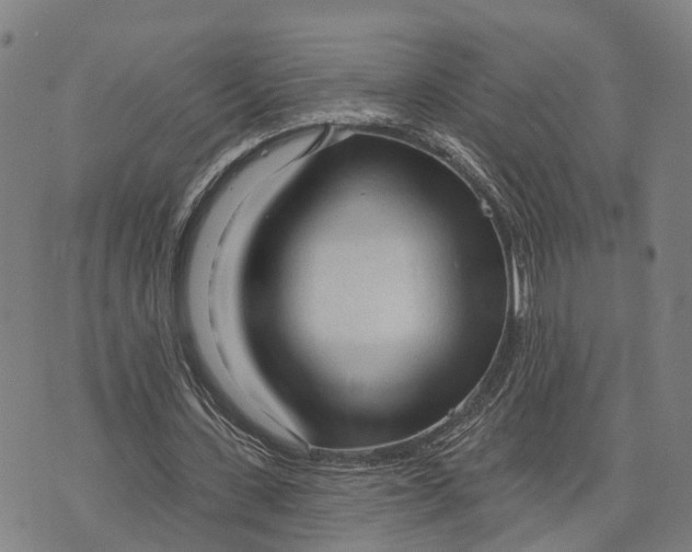 X0000073760531200608241414