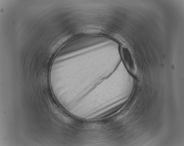 X0000073760533200608241414