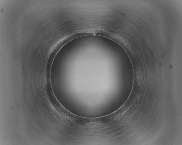 X0000073760536200608241414