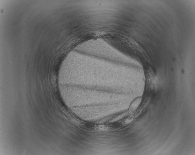 X0000073760565200608241415