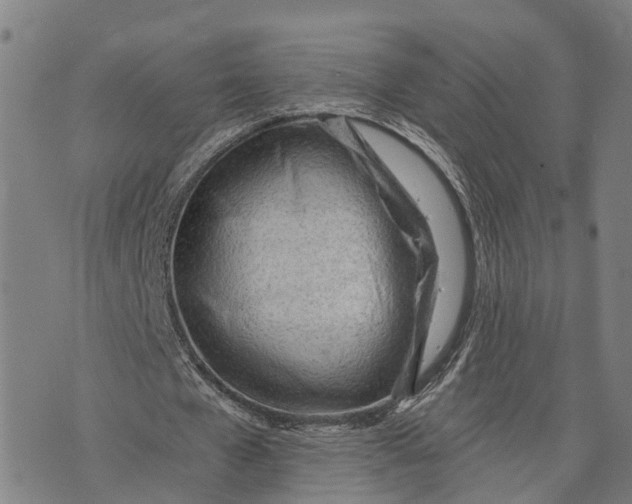 X0000073760577200608241414