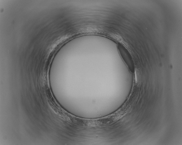 X0000073760579200608241414