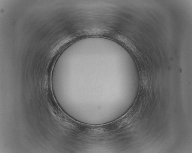 X0000073760583200608241414