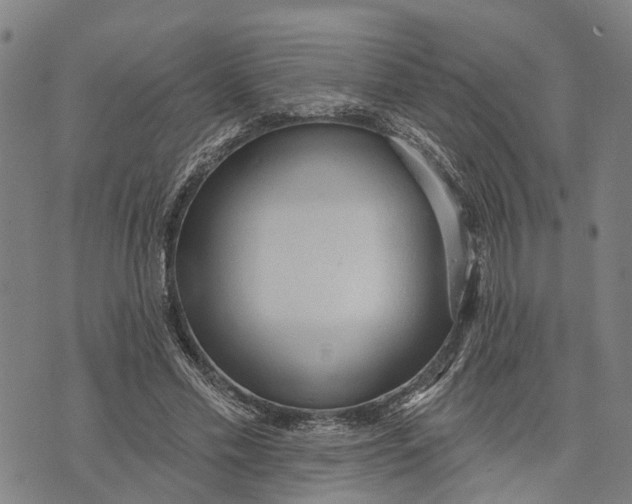 X0000073760589200608241414