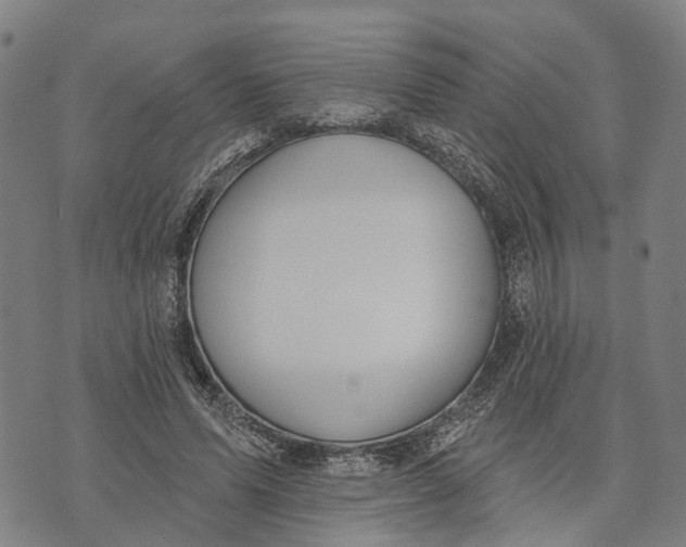 X0000073760591200608241414