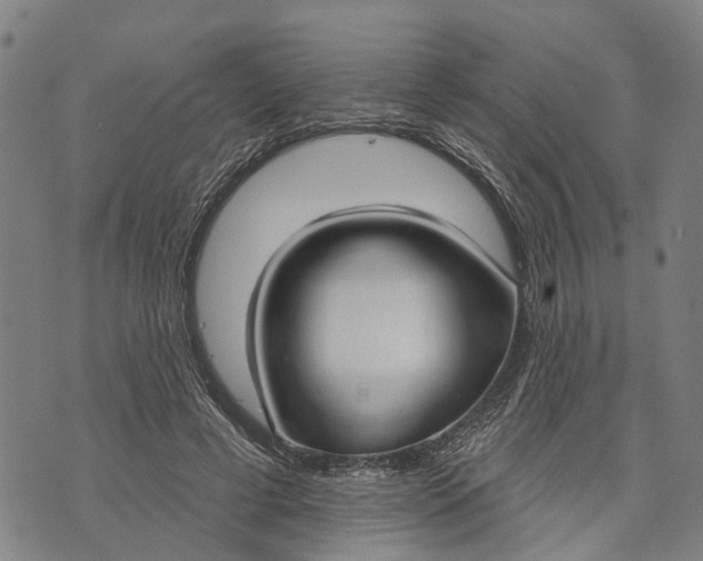 X0000073760593200608241414