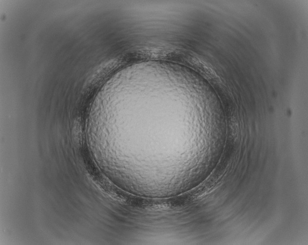 X0000073760594200608241414