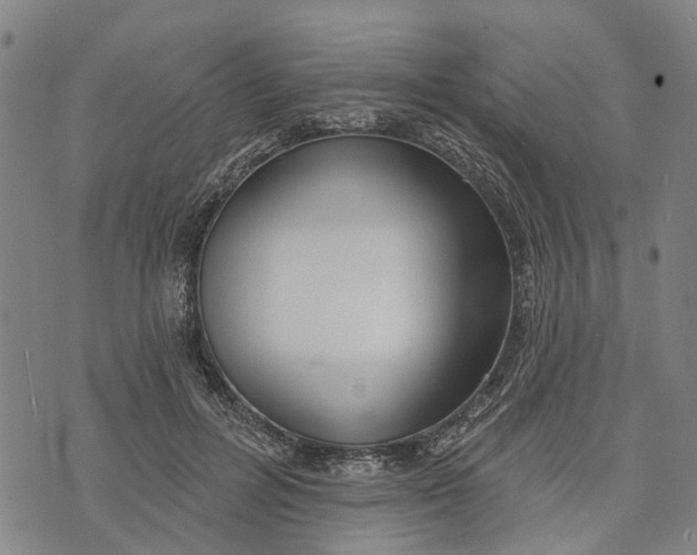 X0000073760600200608241414