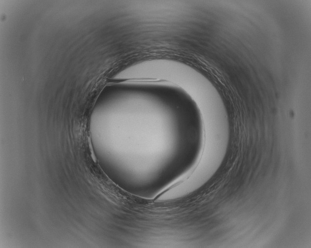 X0000073760601200608241414