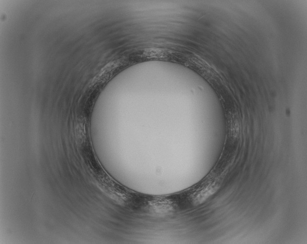 X0000073760603200608241414