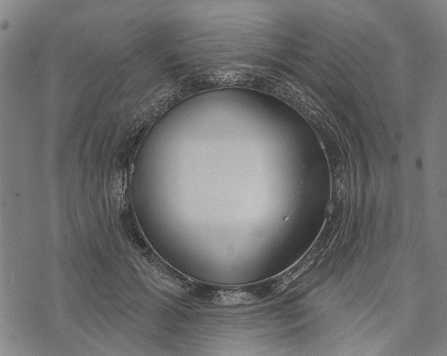 X0000073760605200608241414