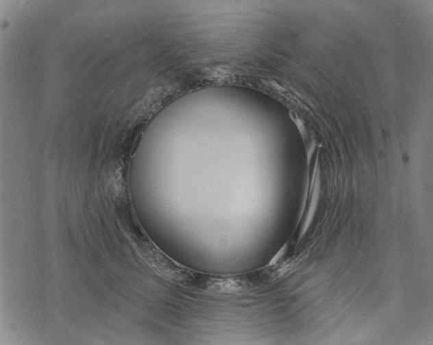 X0000073760611200608241414