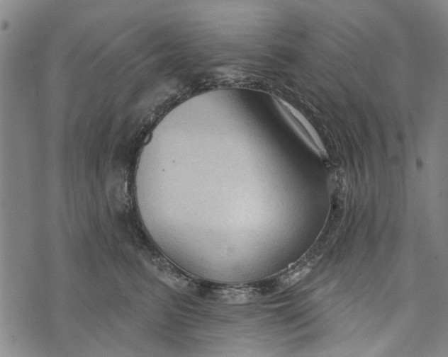 X0000073760615200608241413