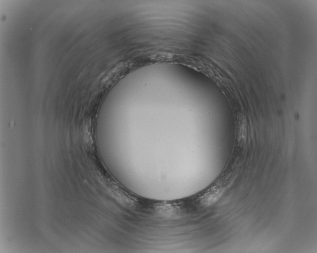 X0000073760616200608241413