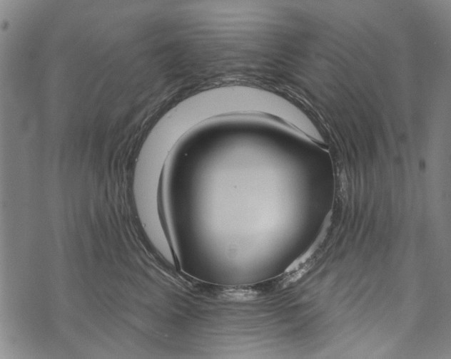 X0000073760617200608241413