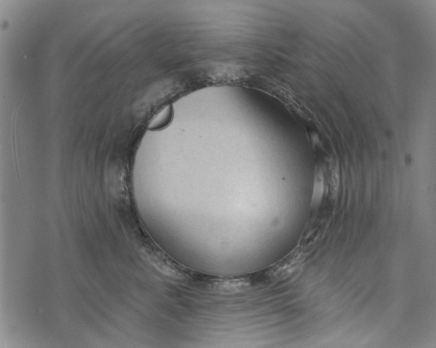 X0000073760619200608241413