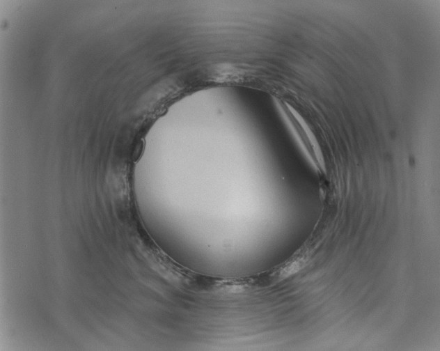 X0000073760620200608241413