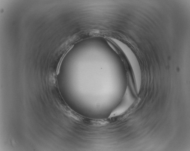 X0000073760621200608241413
