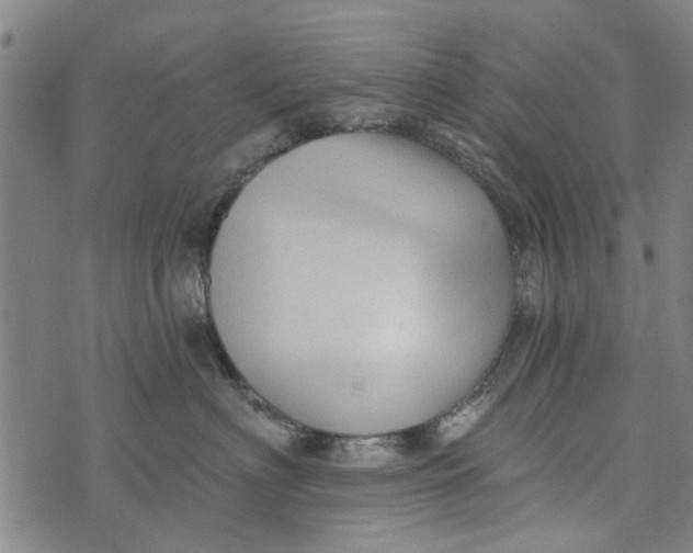 X0000073760622200608241413