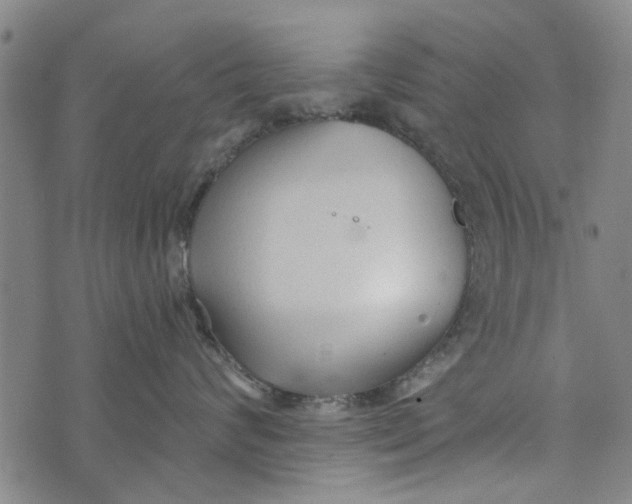 X0000073760624200608241413