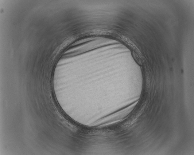 X0000073760625200608241412