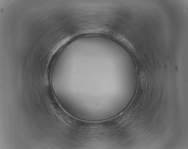 X0000073760628200608241413