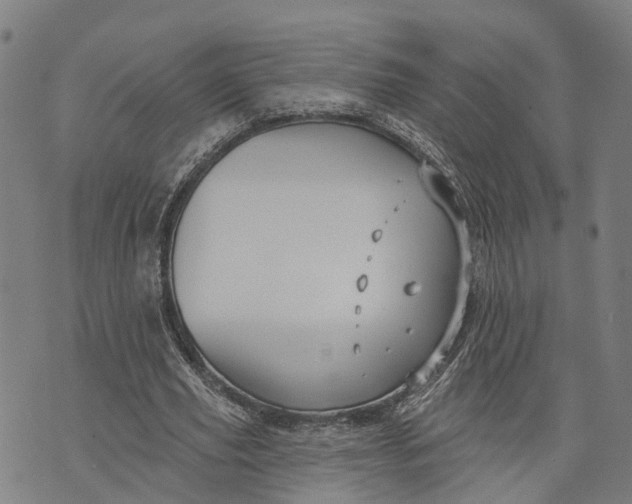 X0000073760629200608241413