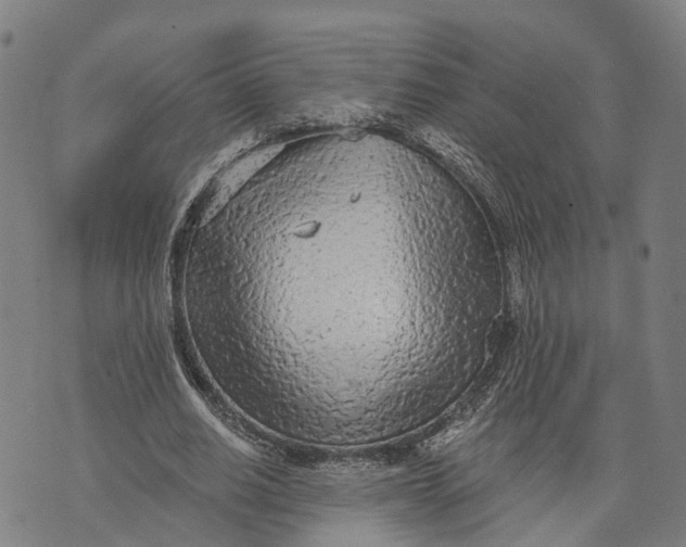 X0000073760630200608241413