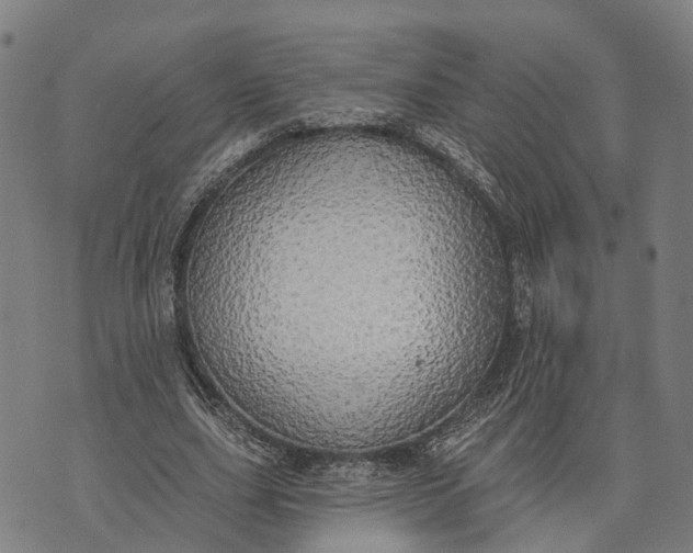 X0000073760631200608241413